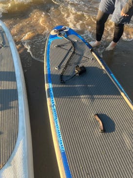 SIGNAL（シグナル） マイアミベースに投稿された画像（2022/8/28）