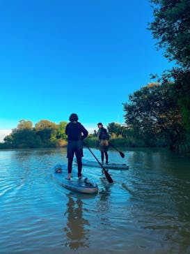 SIGNAL（シグナル） マイアミベースに投稿された画像（2022/8/28）