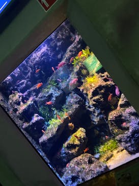 島根県立 しまね海洋館に投稿された画像（2022/8/28）