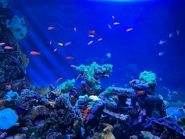 サンシャイン水族館に投稿された画像（2022/8/28）