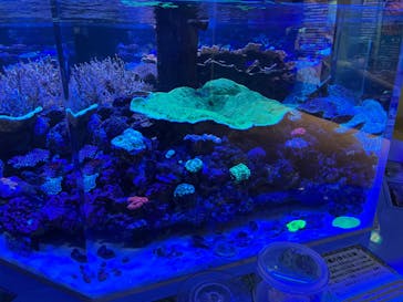 名古屋港水族館に投稿された画像（2022/8/28）