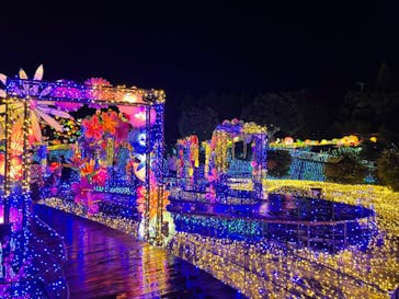 伊豆ぐらんぱる公園に投稿された画像（2022/8/28）