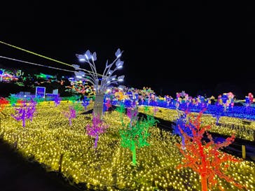 伊豆ぐらんぱる公園に投稿された画像（2022/8/28）