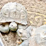 ゼロ距離水族館 伊勢シーパラダイスに投稿された画像（2022/8/29）