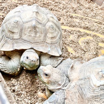ゼロ距離水族館 伊勢シーパラダイスに投稿された画像（2022/8/28）