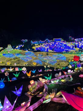 伊豆ぐらんぱる公園に投稿された画像（2022/8/28）