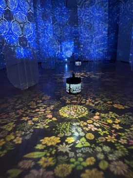 安祥文化のさとに投稿された画像（2022/8/28）