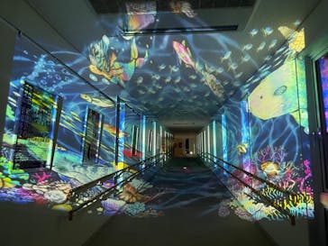 安祥文化のさとに投稿された画像（2022/8/28）