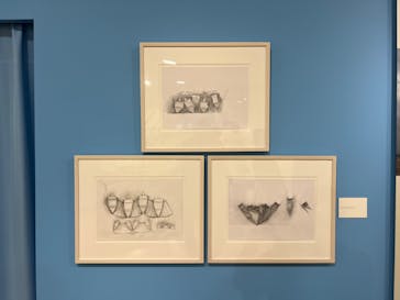 テオ・ヤンセン展 大阪南港ATC Gallery(ITM棟2F)に投稿された画像（2022/8/29）