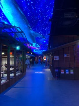 東京湯楽城に投稿された画像（2022/8/29）