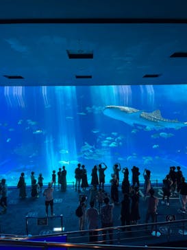 沖縄美ら海水族館に投稿された画像（2022/8/29）