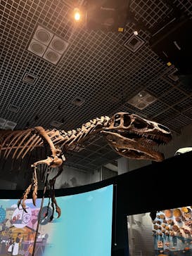 国立科学博物館に投稿された画像（2022/8/29）