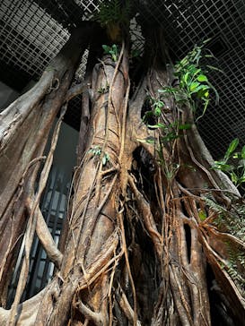 国立科学博物館に投稿された画像（2022/8/29）