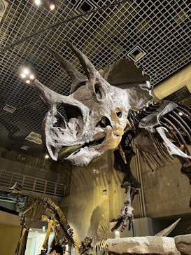 国立科学博物館に投稿された画像（2022/8/29）