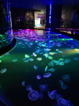 すみだ水族館に投稿された画像（2022/8/29）