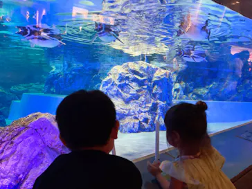 すみだ水族館に投稿された画像（2022/8/29）