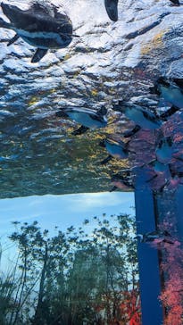 サンシャイン水族館に投稿された画像（2022/8/29）