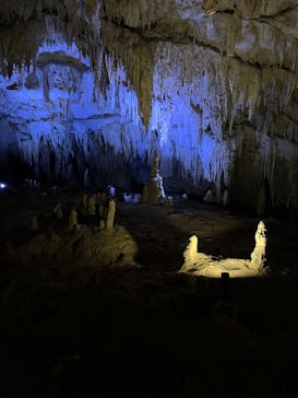 おきなわワールドに投稿された画像（2022/8/29）