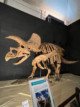 ひらかたパークに投稿された画像（2022/8/29）