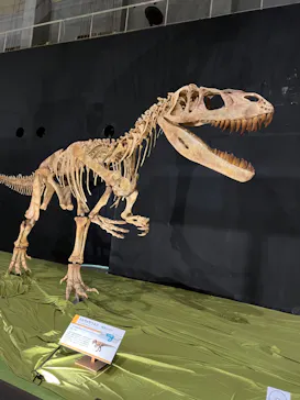 ひらかたパークに投稿された画像（2022/8/29）