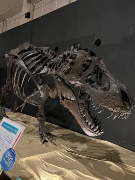 ひらかたパークに投稿された画像（2022/8/29）