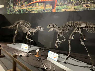 ひらかたパークに投稿された画像（2022/8/29）