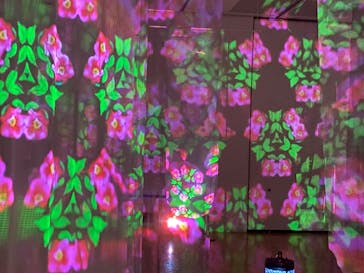 安祥文化のさとに投稿された画像（2022/8/29）