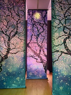 安祥文化のさとに投稿された画像（2022/8/29）