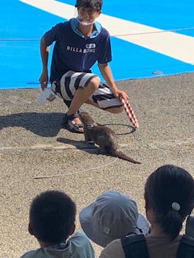 大分マリーンパレス水族館 「うみたまご」に投稿された画像（2022/8/29）
