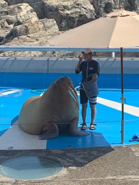 大分マリーンパレス水族館 「うみたまご」に投稿された画像（2022/8/29）