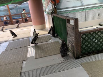 株式会社Gに投稿された画像（2022/8/29）