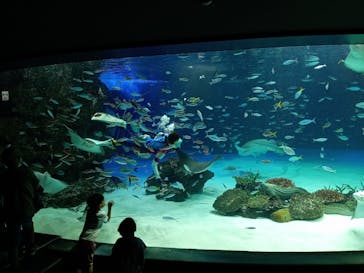 サンシャイン水族館に投稿された画像（2022/8/29）