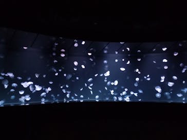 サンシャイン水族館に投稿された画像（2022/8/29）