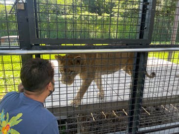 那須サファリパークに投稿された画像（2022/8/29）