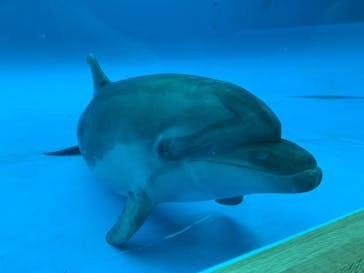 アクアワールド茨城県大洗水族館に投稿された画像（2022/8/29）