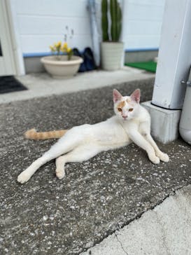 キラーサーフ宮崎に投稿された画像（2022/8/29）