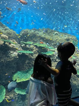 アクアワールド茨城県大洗水族館に投稿された画像（2022/8/29）