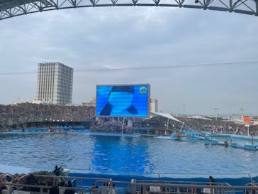 名古屋港水族館に投稿された画像（2022/8/29）