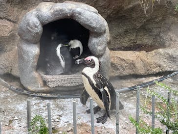 サンシャイン水族館に投稿された画像（2022/8/29）