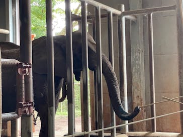 伊豆アニマルキングダムに投稿された画像（2022/8/29）