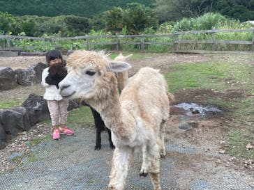 伊豆アニマルキングダムに投稿された画像（2022/8/29）