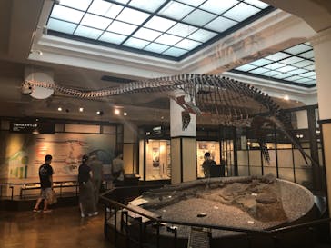 国立科学博物館に投稿された画像（2022/8/29）