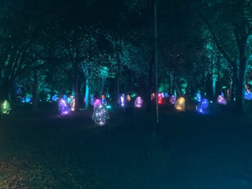 チームラボ ボタニカルガーデン 大阪に投稿された画像（2022/8/29）