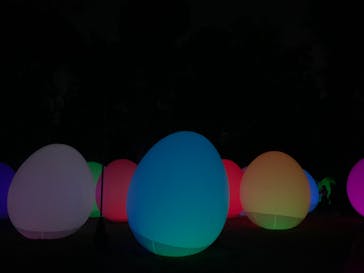 チームラボ ボタニカルガーデン 大阪に投稿された画像（2022/8/29）