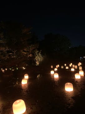 チームラボ ボタニカルガーデン 大阪に投稿された画像（2022/8/29）