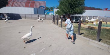 東武動物公園に投稿された画像（2022/8/29）