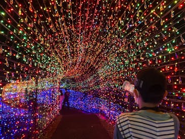 伊豆ぐらんぱる公園に投稿された画像（2022/8/29）