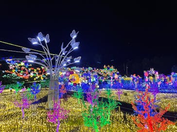 伊豆ぐらんぱる公園に投稿された画像（2022/8/29）