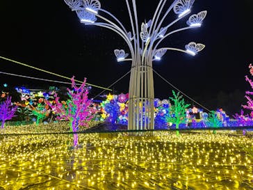 伊豆ぐらんぱる公園に投稿された画像（2022/8/29）