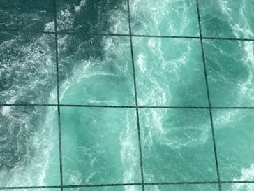 徳島県立 渦の道に投稿された画像（2022/8/29）